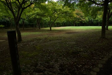 真夏の舞岡公園の風景　神奈川県戸塚区舞岡町
