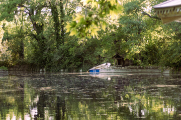 In a magical corner, a boat floats on a mirror-like pond. The cabin among trees and the sky&rsquo;s reflection create a peaceful haven, where time stands still and nature whispers serenity