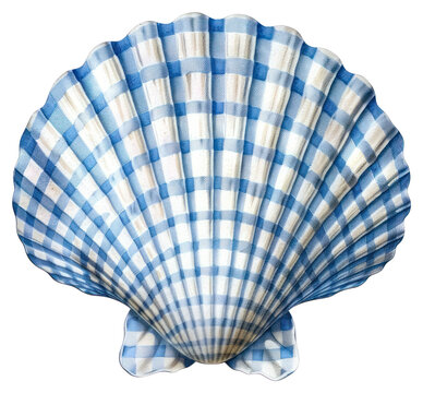 PNG Shell shape collage cutout invertebrate seashell clothing.