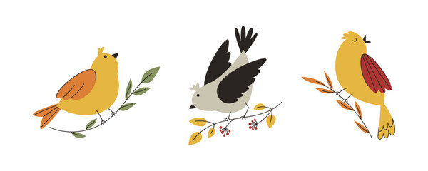 Birds sitting on branches. Cute birds collection for design cards, posters, notepads and children's clothes.