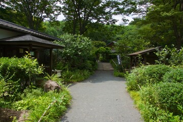 舞岡公園の景色　真夏　神奈川県戸塚区舞岡町