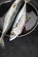 mackerel fish raw seafood fresh food snack on the table copy space food background