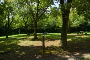 舞岡公園の景色　真夏　神奈川県戸塚区舞岡町