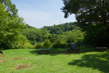 舞岡公園の景色　真夏　神奈川県戸塚区舞岡町