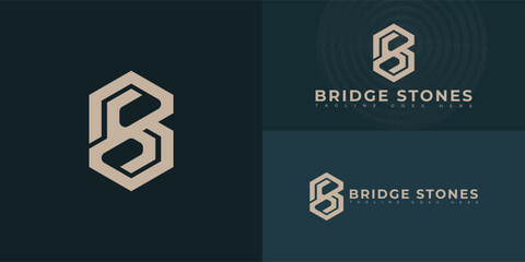 Abstract hexagon initial letter BS or SB in gold color isolated on multiple background colors. The logo is suitable for tax services logo design inspiration templates.