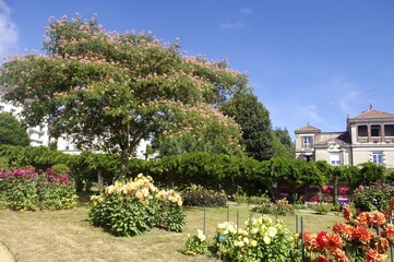 Le parc du Thabor