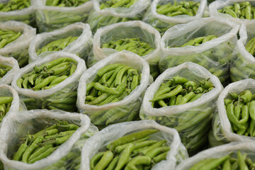 Green bell peppers packed in bags ready for sale. Green peppers packed in plastic bags.
