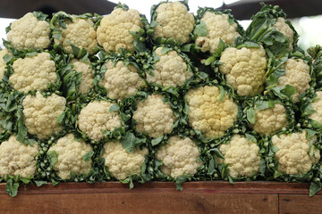 Cauliflowers are stacked in a wooden tray. Cauliflowers are stacked in wooden trays ready for sale at the market.