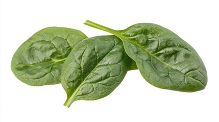 Fototapeta premium Fresh green spinach leaves with crisp detail, isolated on white background, healthy vegetable