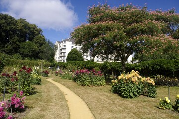 La saison des dahlias