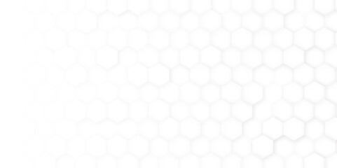 Hexagon Beehive honeycomb pattern wall black and white. Graphic Design Background. Simple Fabric Ornament. Vector Illustration.