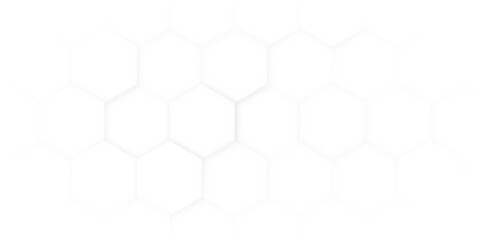 Hexagon Beehive honeycomb pattern wall black and white. Hexagon isolated clipping path horizontal for design 