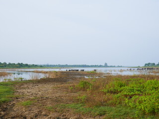 Udawalawe Nationak Park au Sri Lanka