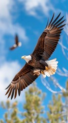 A majestic eagle arriving at its nest with prey, while another eagle departs for a hunt, wings spread wide against the sky