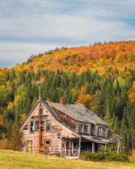 Old New England Farmhouse with Beautiful Fall Foliage Vertical - Abandoned House - Pittsburg, New Hampshire  