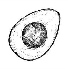 Avocado hass graphic vector illustration, hand drawn sketch of vegetable,sliced avocado. Botanical drawing of tropical fruit. Engraving for food packaging design. Plant sketch