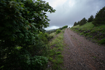 The mountain meadows of the Croatian mountains on a cloudy day.