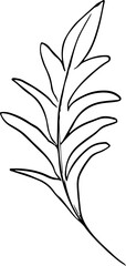 Leaf. Line art. Vector