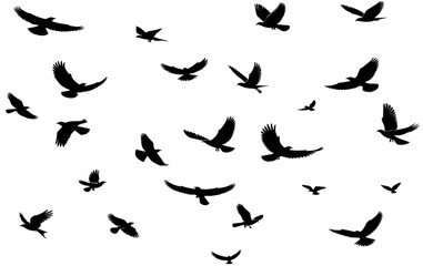 Set of silhouettes of flying birds in a flat style Vector illustration