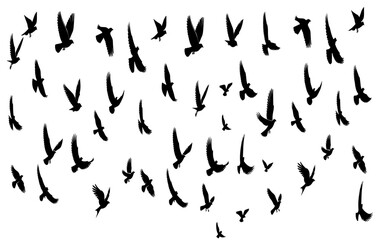 black and white background