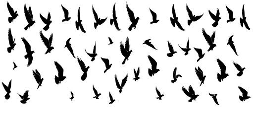 Flying birds silhouettes Vector illustration. isolated bird flying. tattoo and wallpaper background design.