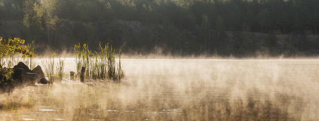Beautiful serene nature scene with river reeds, mist and water.