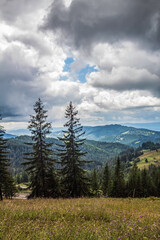 Landscapes - Forest - Europe, Romania, Suceava region