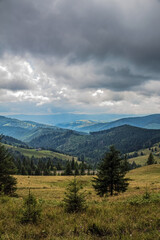 Landscapes - Forest - Europe, Romania, Suceava region