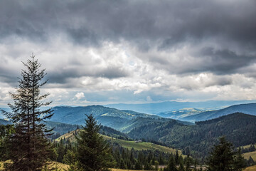Landscapes - Forest - Europe, Romania, Suceava region