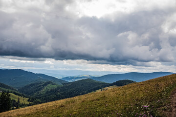 Landscapes - Forest - Europe, Romania, Suceava region