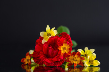 small bouquet of small multicolored flowers and a rose, isolated on black background