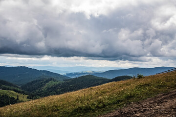 Landscapes - Forest - Europe, Romania, Suceava region