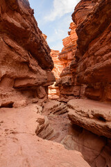 Experience the breathtaking natural beauty of Cathedral Wash Slot Canyon in Arizona, USA. This stunning landscape features towering red rock walls and narrow ledges, creating a picturesque scene.