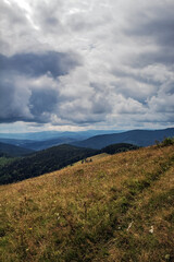 Landscapes - Forest - Europe, Romania, Suceava region