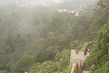A lone figure walks along a stone path through a misty forest