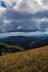 Landscapes - Forest - Europe, Romania, Suceava region
