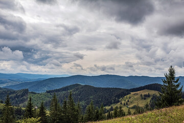 Landscapes - Forest - Europe, Romania, Suceava region