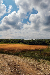 Obraz premium Landscapes - Forest - Europe, Romania, Suceava region