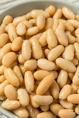 Healthy Organic White Cannelloni Beans