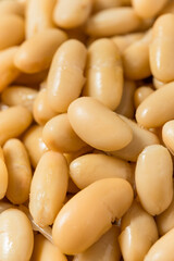 Healthy Organic White Cannelloni Beans