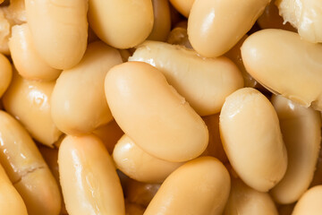 Healthy Organic White Cannelloni Beans