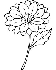 Scabiosa Coloring Page Outline - Black Line Vector Illustration for SVG, Cricut, and Silhouette Files