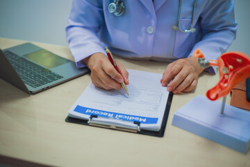 Fototapeta premium Urologists measure the size of the female genitalia using the Female Genital Health Examination.