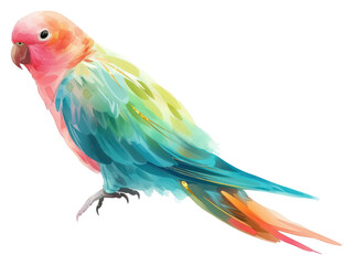 Obraz premium PNG Parrot animal bird white background.