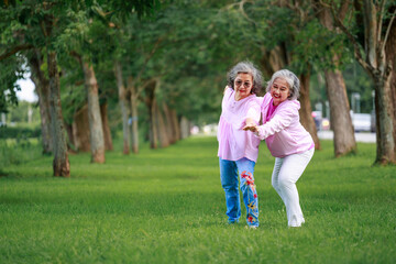 Fototapeta premium senior woman teach Traditional Chinese Exercise Routine in Park
