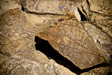 Desert slabs and stone, texture close-up. 