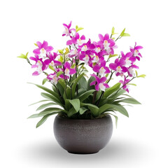 Naklejka premium Beautifully arranged Dendrobium orchids in a decorative pot, isolated against a pristine transparent background, highlighting their exquisite colors and graceful blooms.