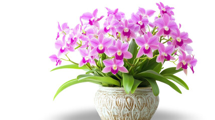 Obraz premium Stunning arrangement of Dendrobium orchids in a beautifully designed decorative pot, perfectly isolated against a bright transparent background, highlighting their charm and beauty.