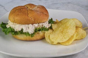 chicken salad  sandwich  and a side of chips