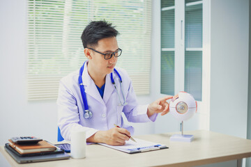 An ophthalmologist explains eye diseases using an eye model at an examination table in a hospital...
